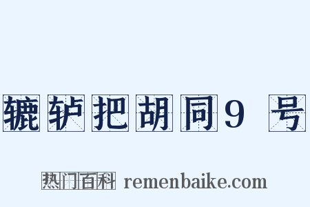 辘轳把胡同9号是什么意思的图片